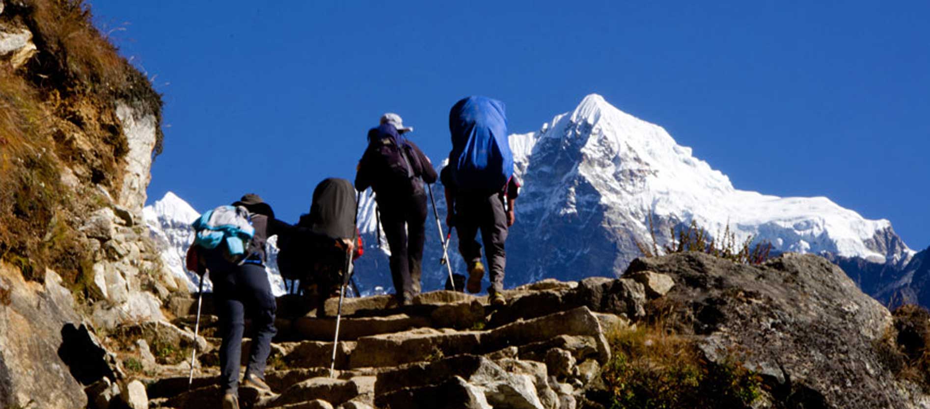 Customized & Flexible Tours