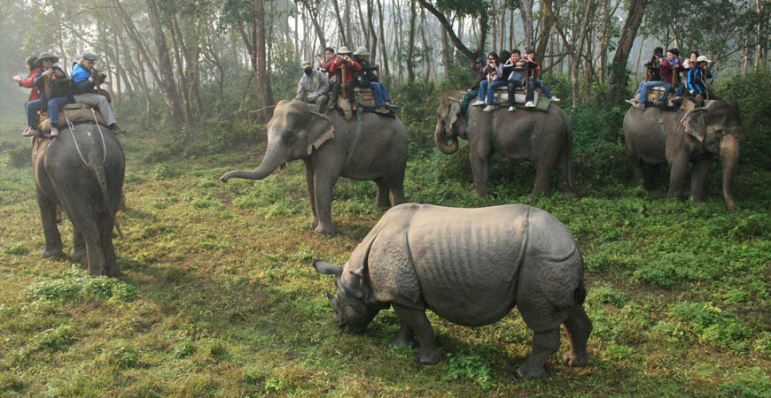Chitwan National Park